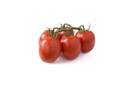 Tomate Pera Enrame - Trepador
